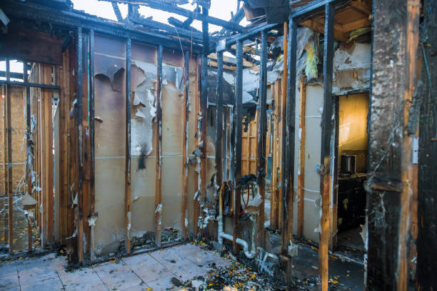 Professional Fire Damage Removal technician working in Rendon, TX